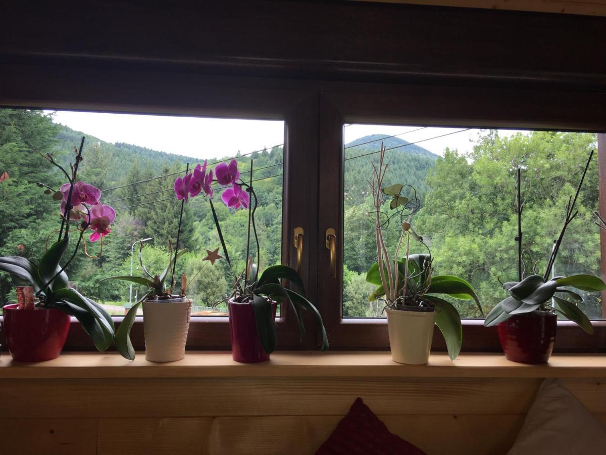 Chalet Du Champs Des Semeaux Wisches 外观 照片
