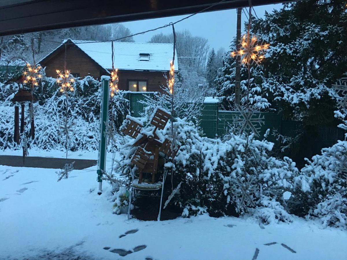 Chalet Du Champs Des Semeaux Wisches 外观 照片
