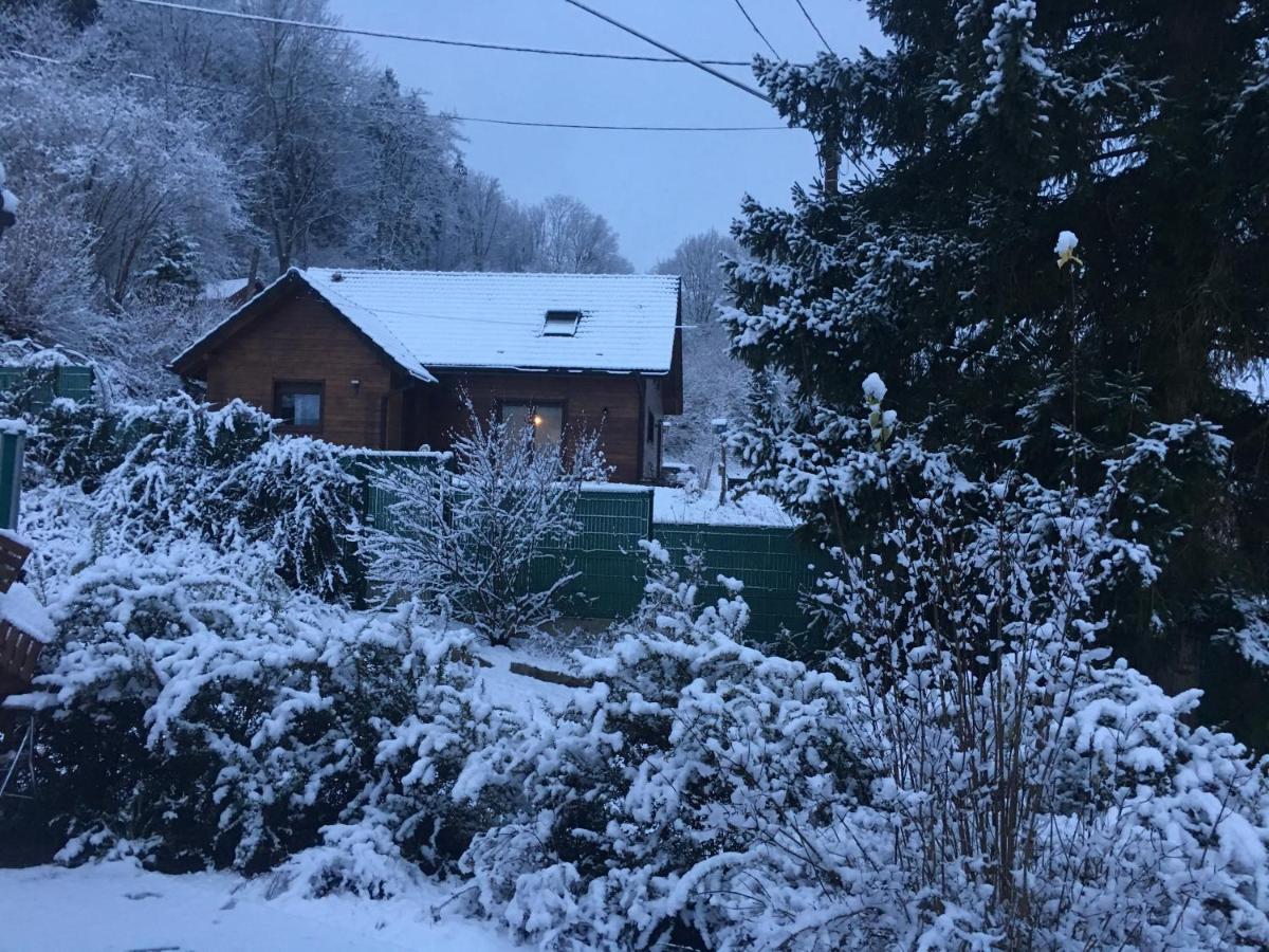 Chalet Du Champs Des Semeaux Wisches 外观 照片